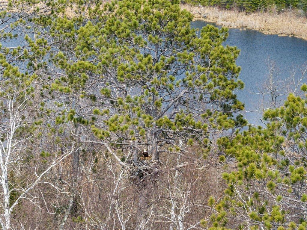 TBD 640th Lane Jacobson MN 55752 - Ball Bluff 6708780 image8