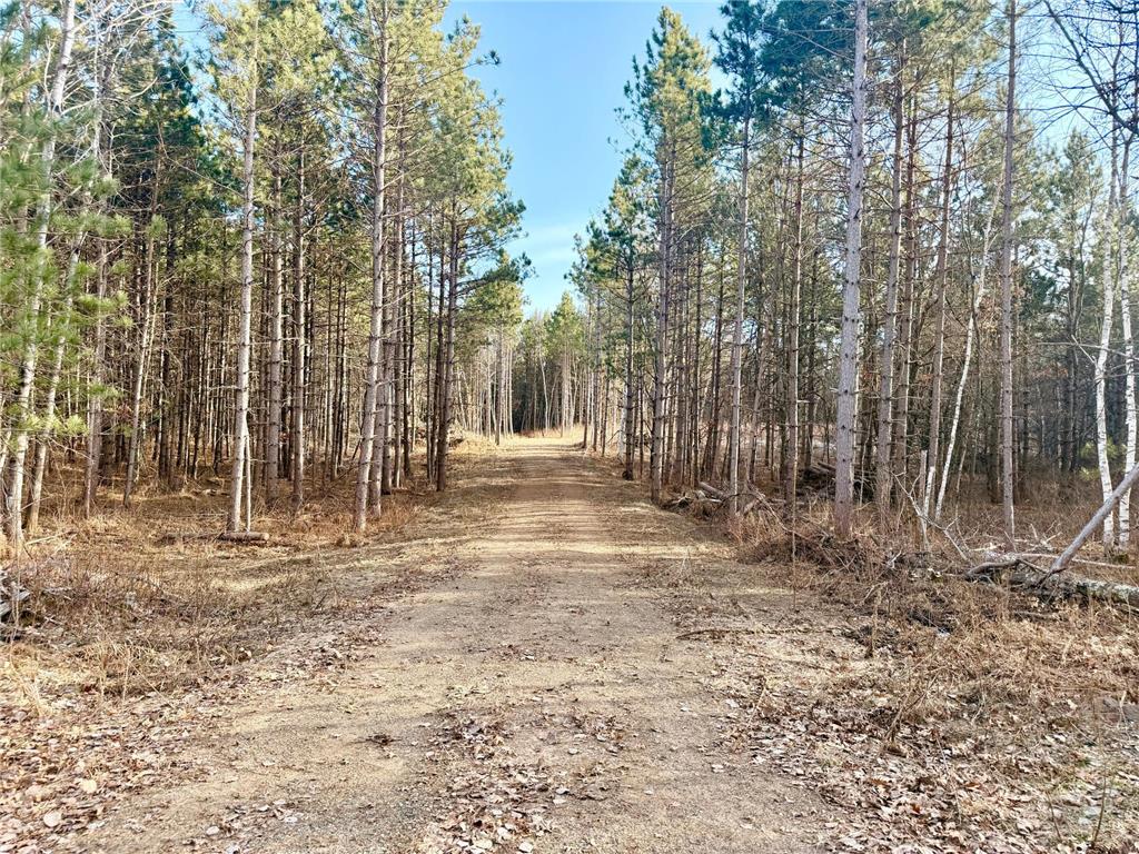 TBD 64th Street SW Loon Lake Twp MN 56472 7049007 image1