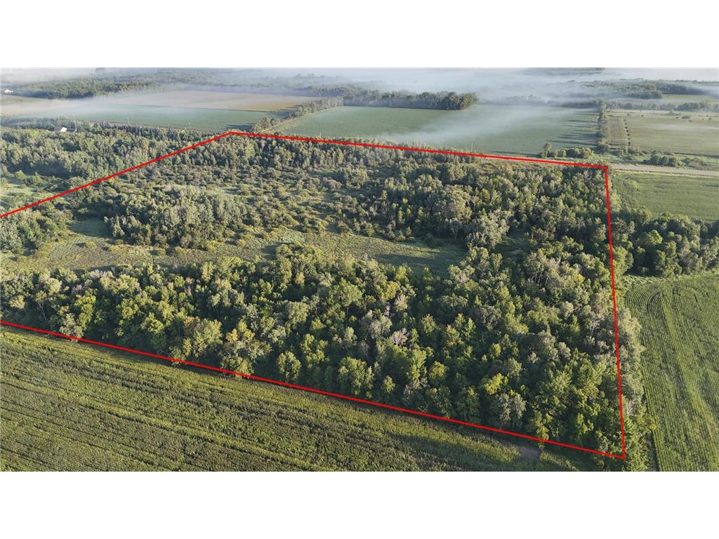 TBD 65th Street NE Foley MN 56329 6785444 image1