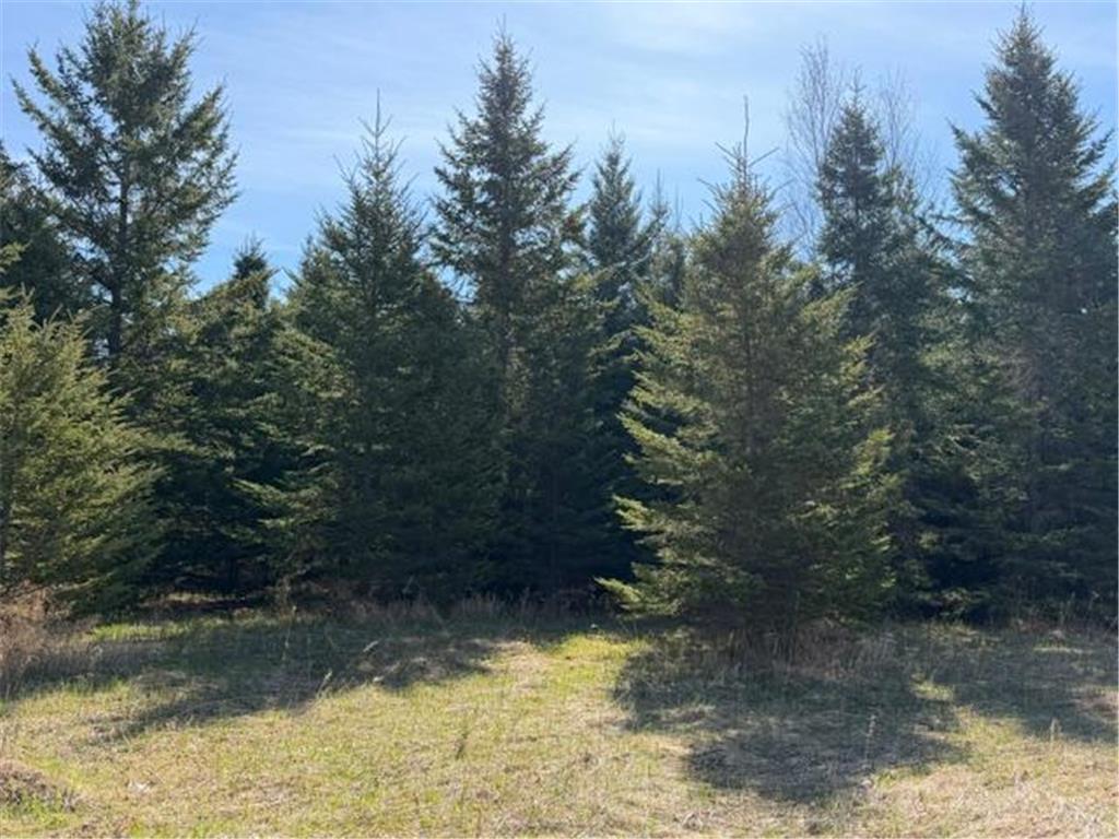 TBD 66th Avenue NE Remer MN 56672 7077689 image1
