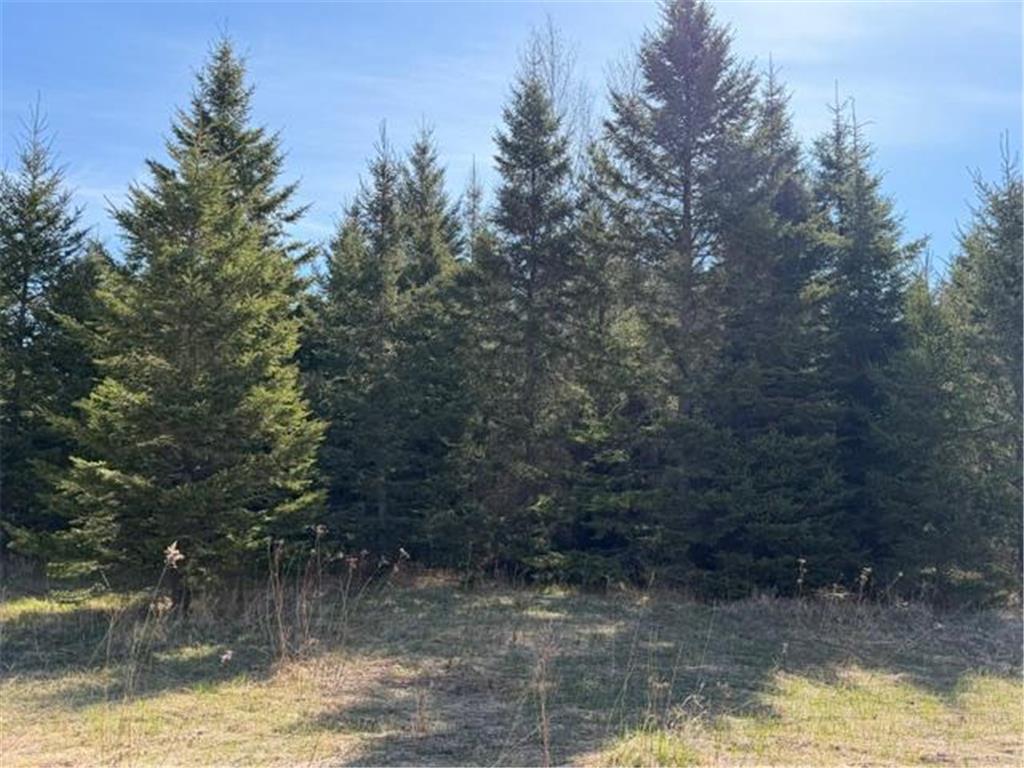 TBD 66th Avenue NE Remer MN 56672 7077689 image2