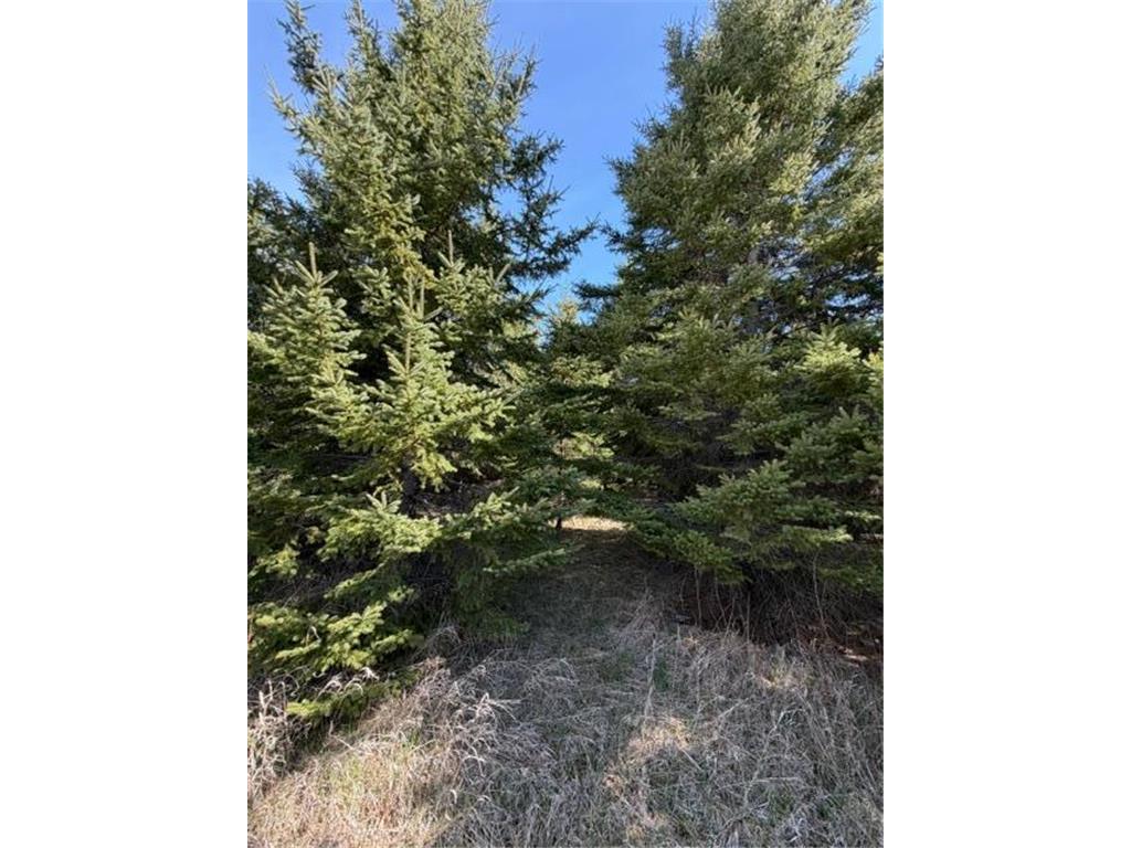 TBD 66th Avenue NE Remer MN 56672 7077689 image3