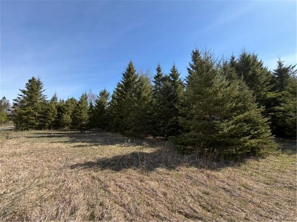 TBD 66th Avenue NE Remer MN 56672 7077689 image4