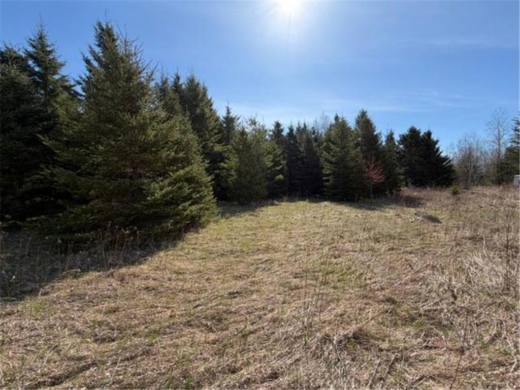TBD 66th Avenue NE Remer MN 56672 7077689 image5