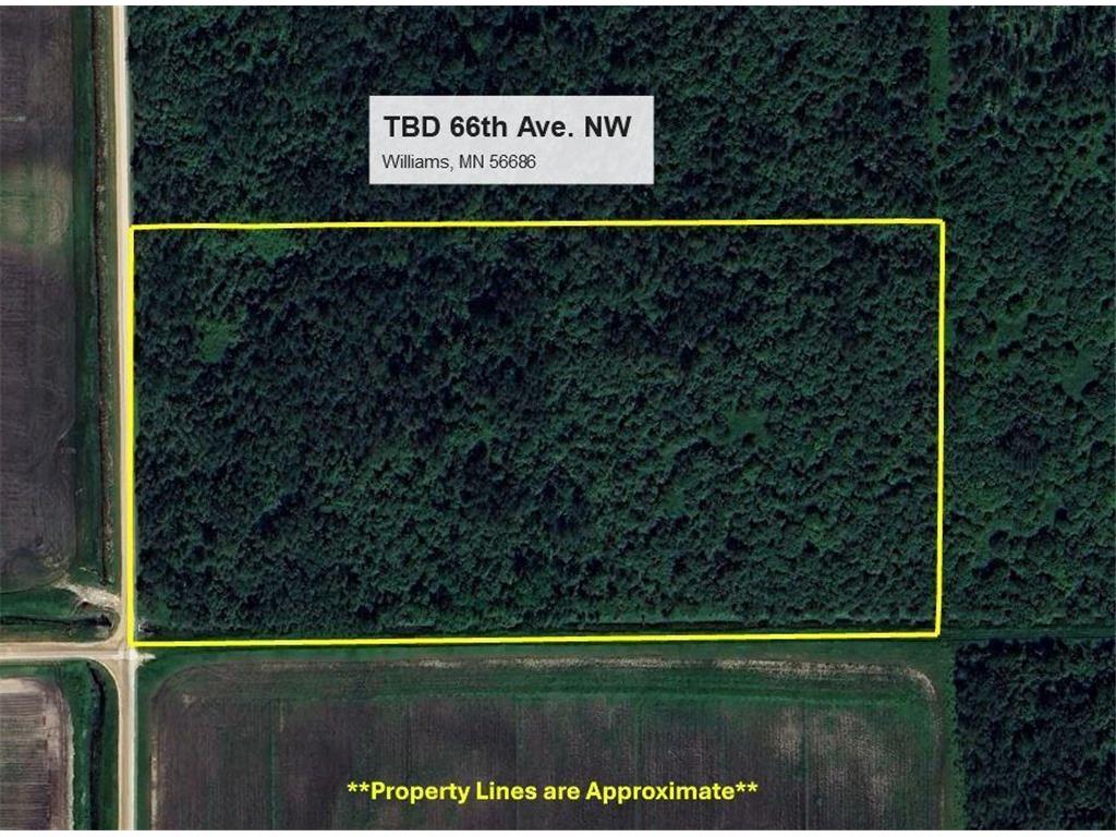 TBD 66th Avenue NW Williams MN 56686 6753779 image1