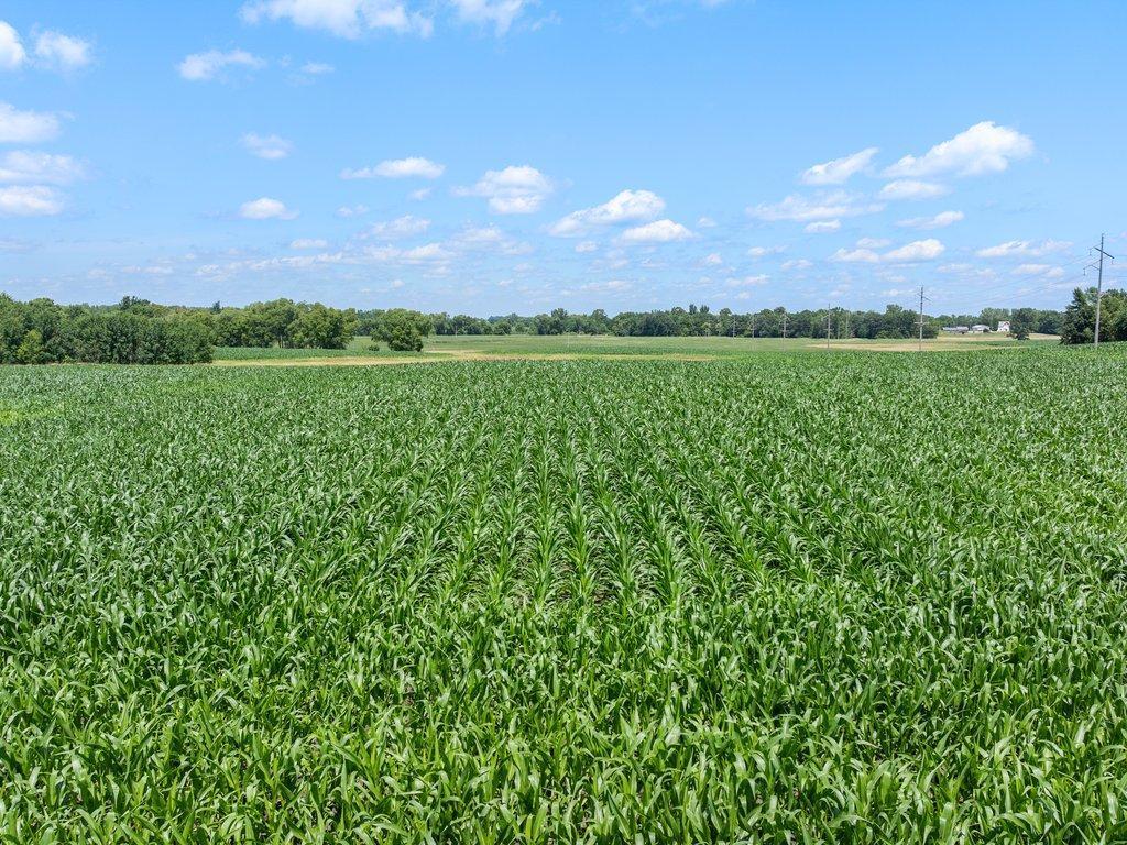 TBD 66th Street New Germany MN 55367 7005623 image3