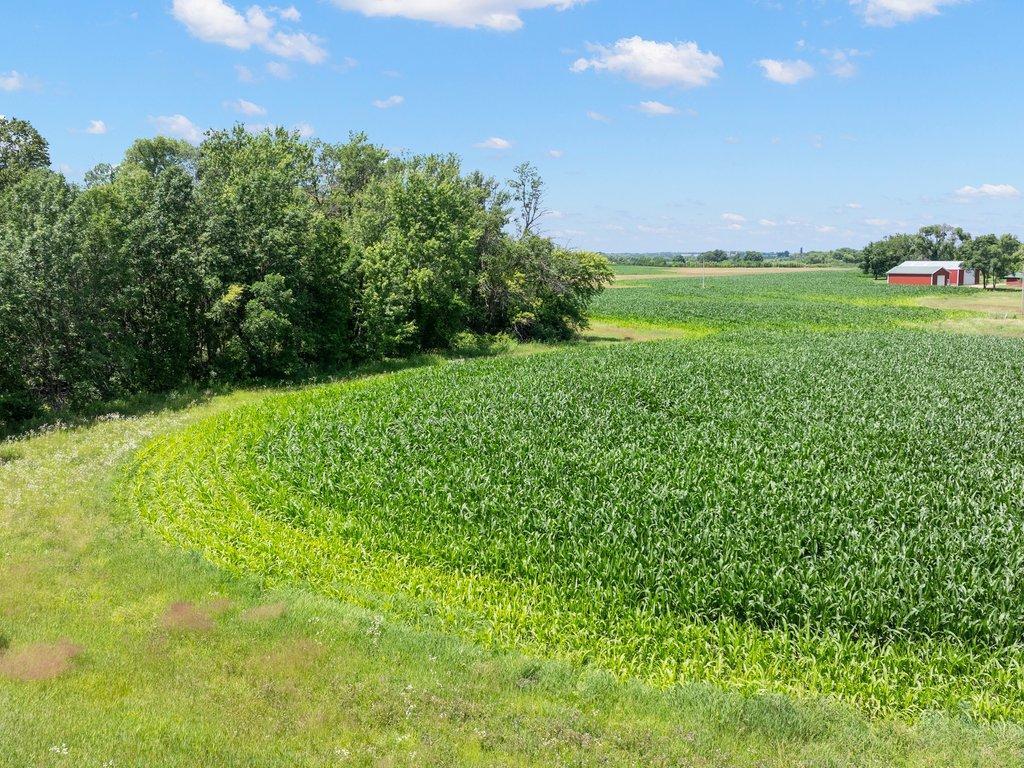 TBD 66th Street New Germany MN 55367 7005623 image6