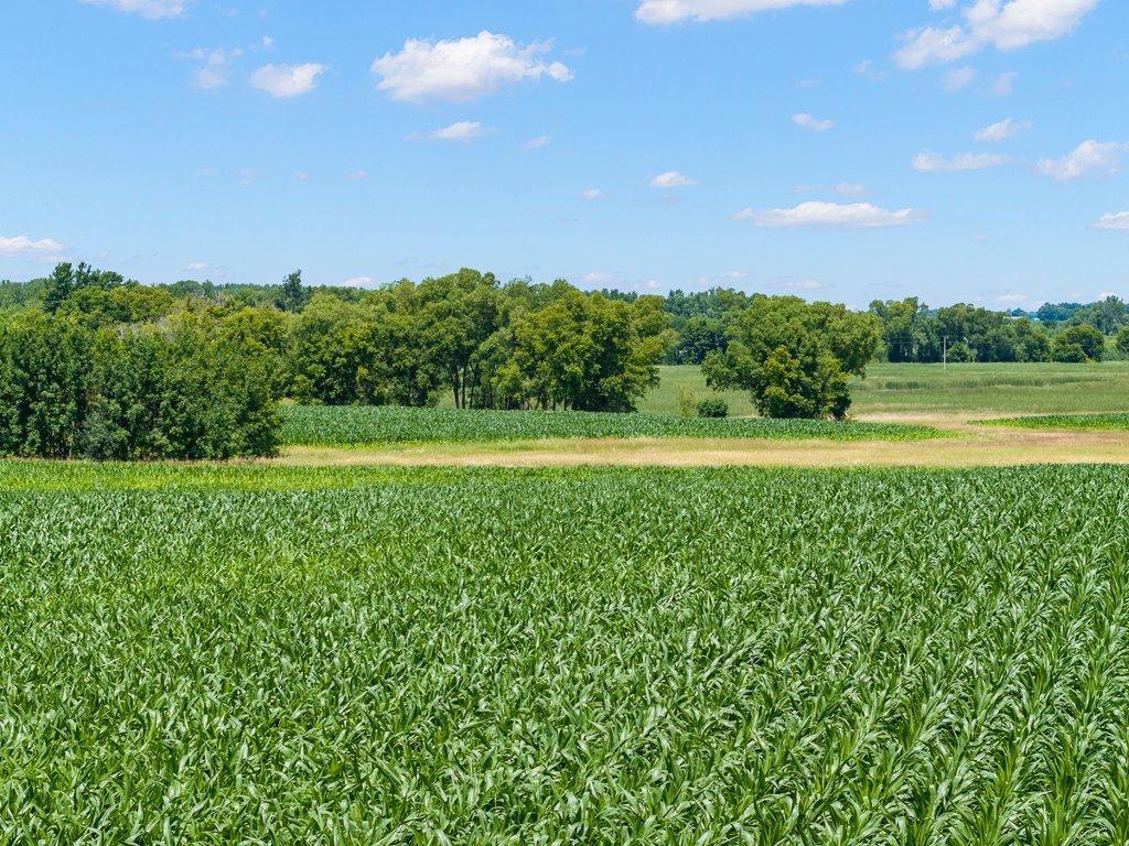 TBD 66th Street New Germany MN 55367 7005623 image9