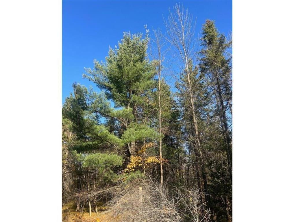 TBD 672nd Lane Hill Lake Twp MN 55748 - Hill Lake 6746054 image11