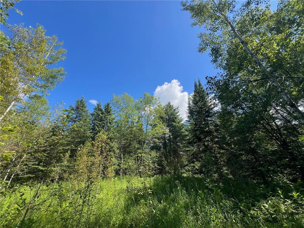 TBD 672nd Lane Hill Lake Twp MN 55748 - Hill Lake 6746054 image17