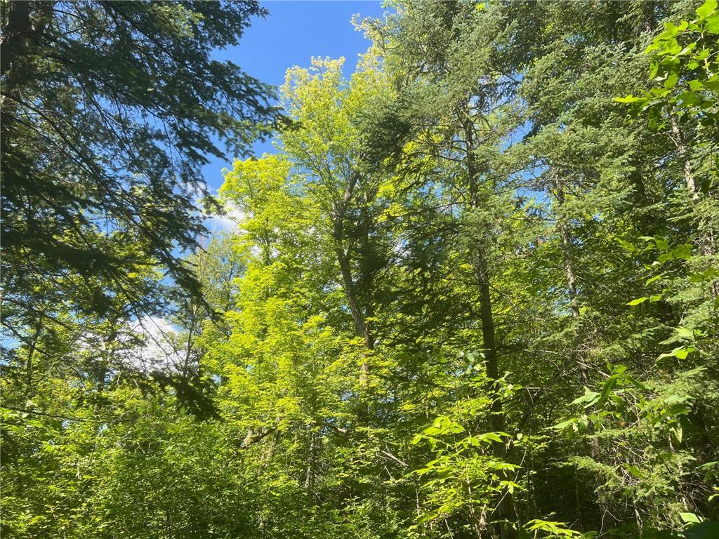 TBD 672nd Lane Hill Lake Twp MN 55748 - Hill Lake 6746054 image18