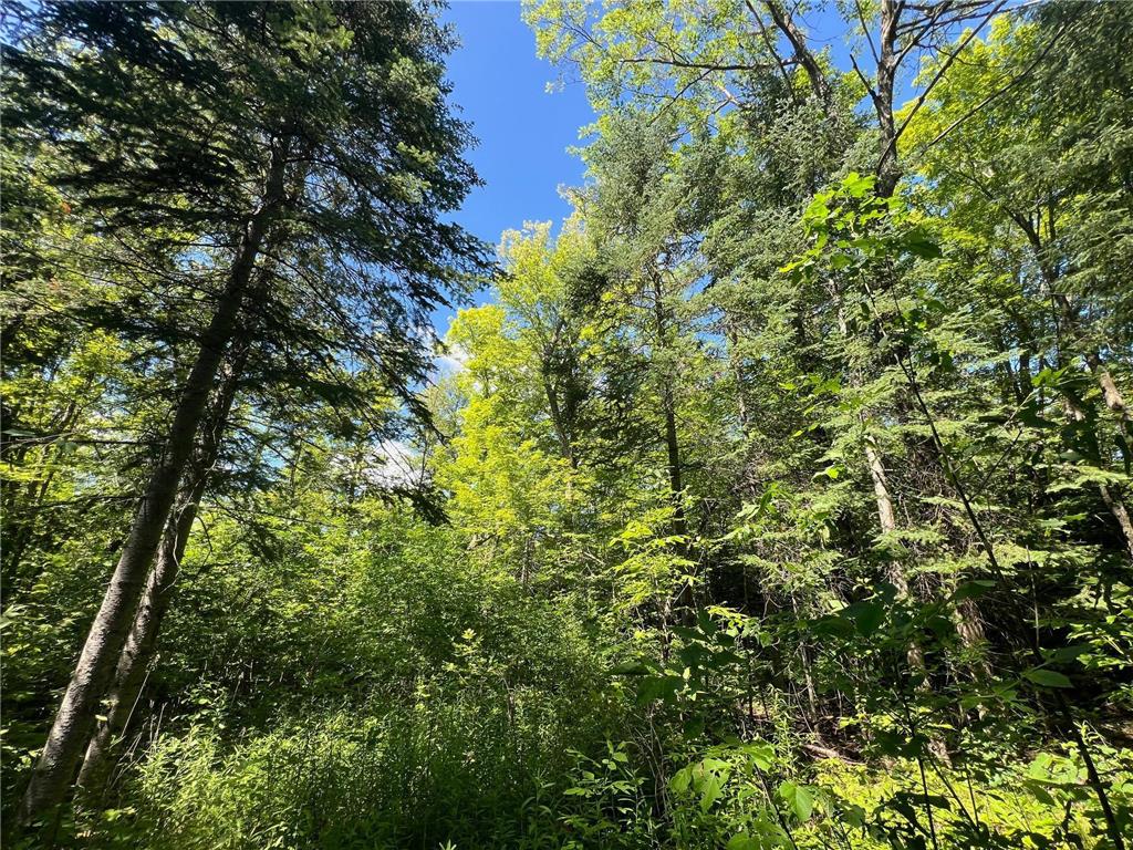 TBD 672nd Lane Hill Lake Twp MN 55748 - Hill Lake 6746054 image19