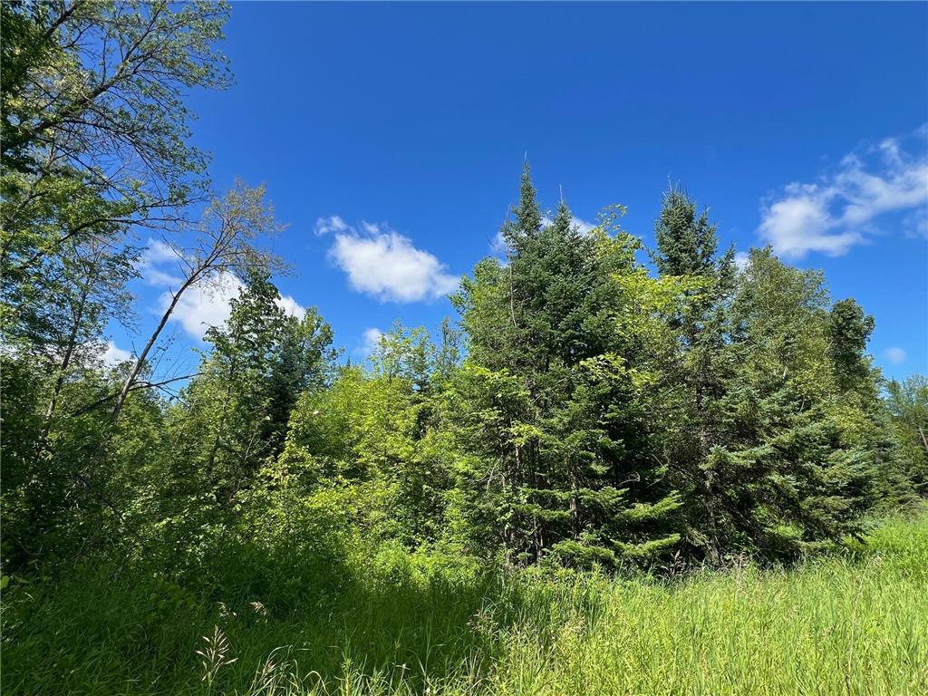 TBD 672nd Lane Hill Lake Twp MN 55748 - Hill Lake 6746054 image20