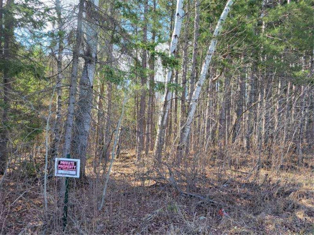 TBD 695th Avenue Roosevelt MN 56673 6718714 image10