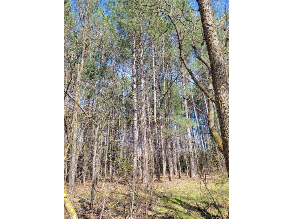 TBD 695th Avenue Roosevelt MN 56673 6718714 image2