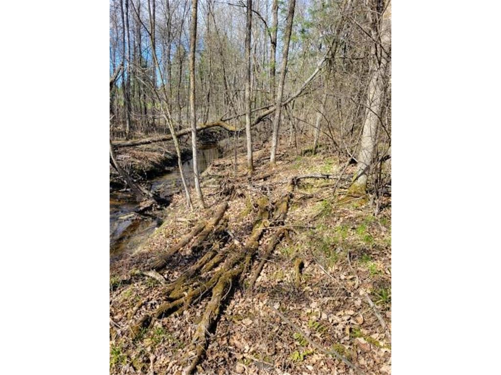 TBD 695th Avenue Roosevelt MN 56673 6718714 image3