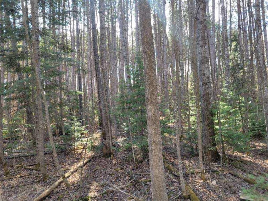 TBD 695th Avenue Roosevelt MN 56673 6718714 image4