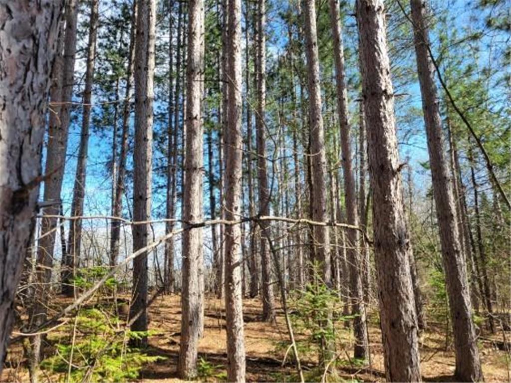 TBD 695th Avenue Roosevelt MN 56673 6718714 image5