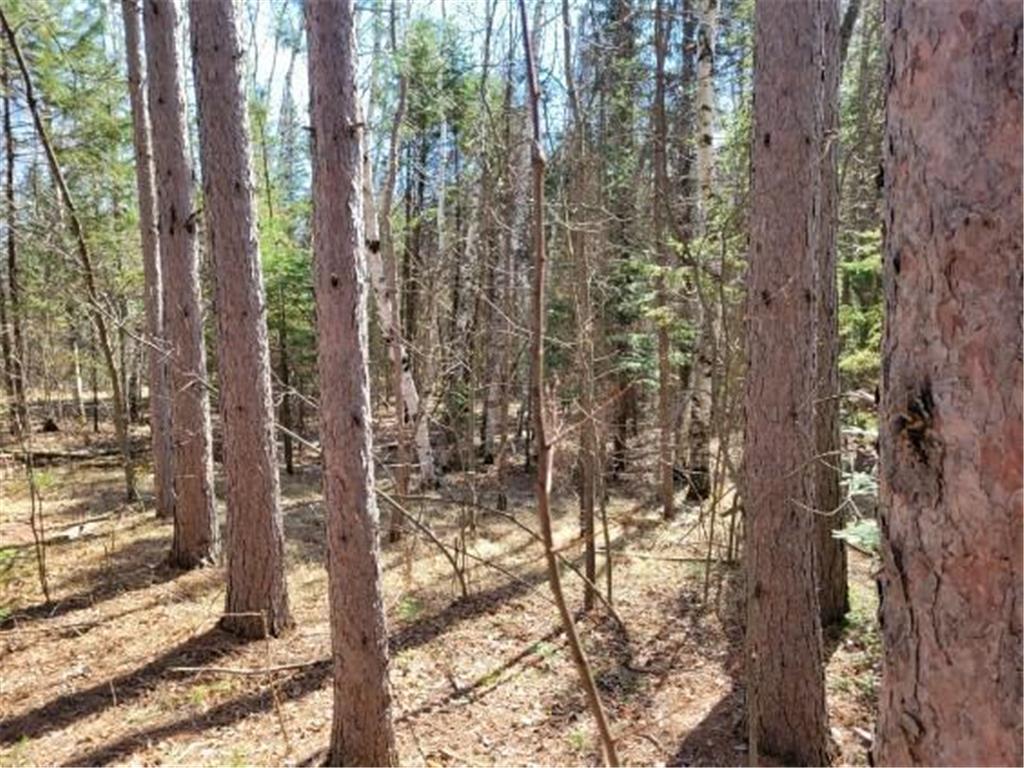 TBD 695th Avenue Roosevelt MN 56673 6718714 image6