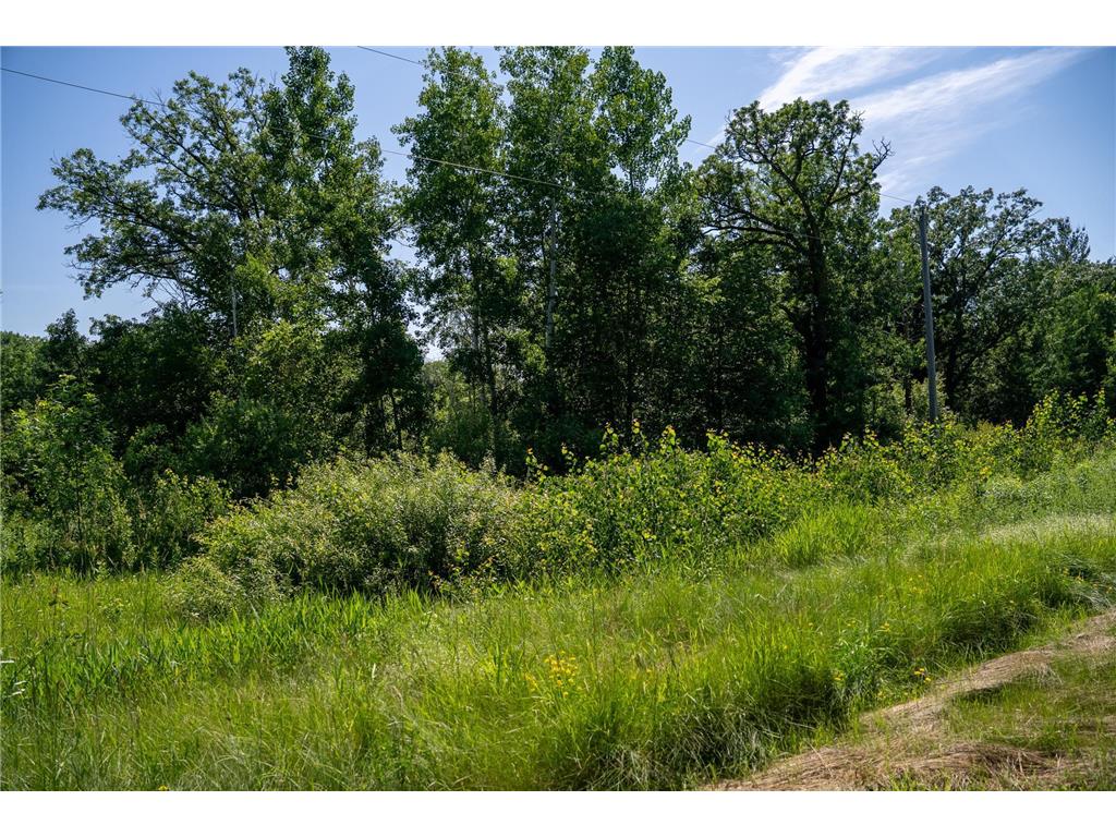 TBD 6th Street Randall MN 56475 - Little Elk River 6732725 image17