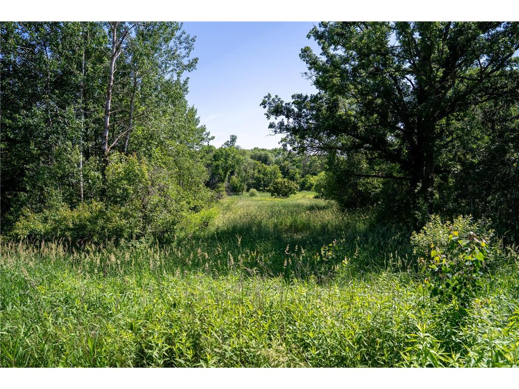 TBD 6th Street Randall MN 56475 - Little Elk River 6732725 image18