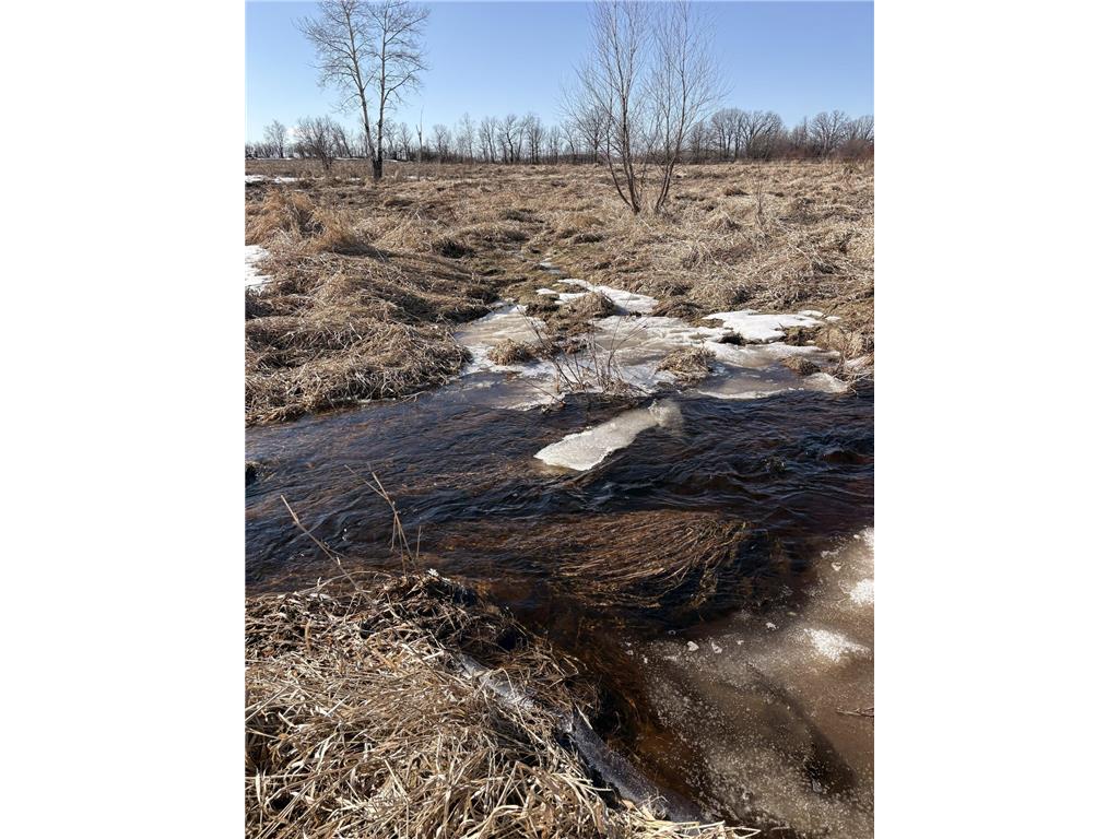 TBD 7.99 AC 160th Avenue Foreston MN 56330 7035454 image4