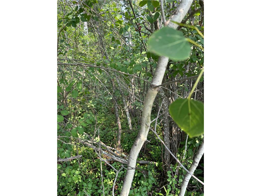 TBD 7 Acres County Road 107 International Falls MN 56649 6791363 image7