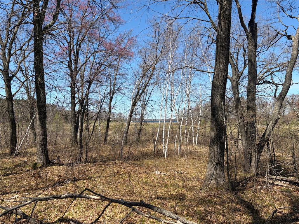 TBD 7 Miramar Road Spooner WI 54801 - Spooner 7071621 image10