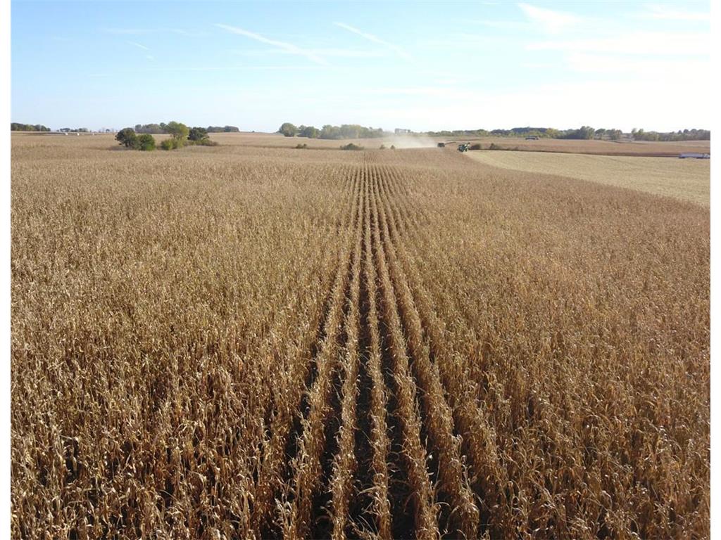 TBD 708th Avenue Emmons MN 56029 6811367 image8