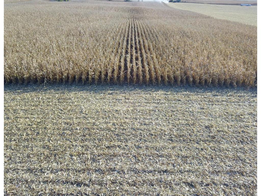 TBD 708th Avenue Emmons MN 56029 6811367 image9