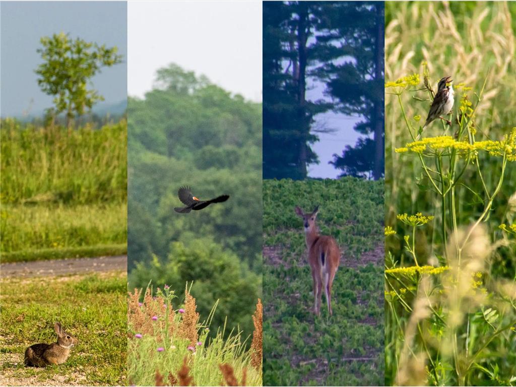 TBD 708th St Lake City MN 55041 - Mississippi 6645897 image8