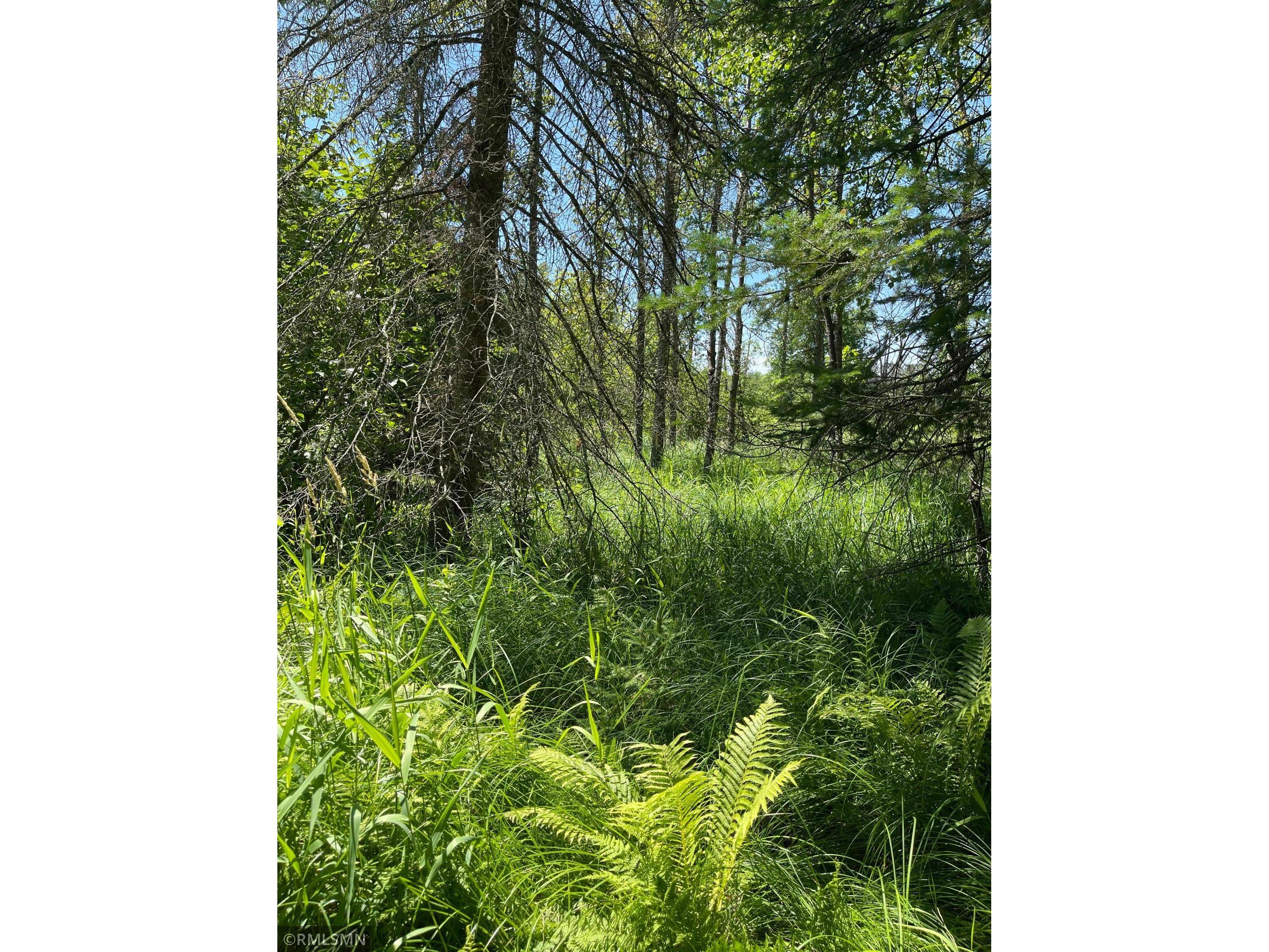 TBD 70th Street NE Remer MN 56672 6022030 image2