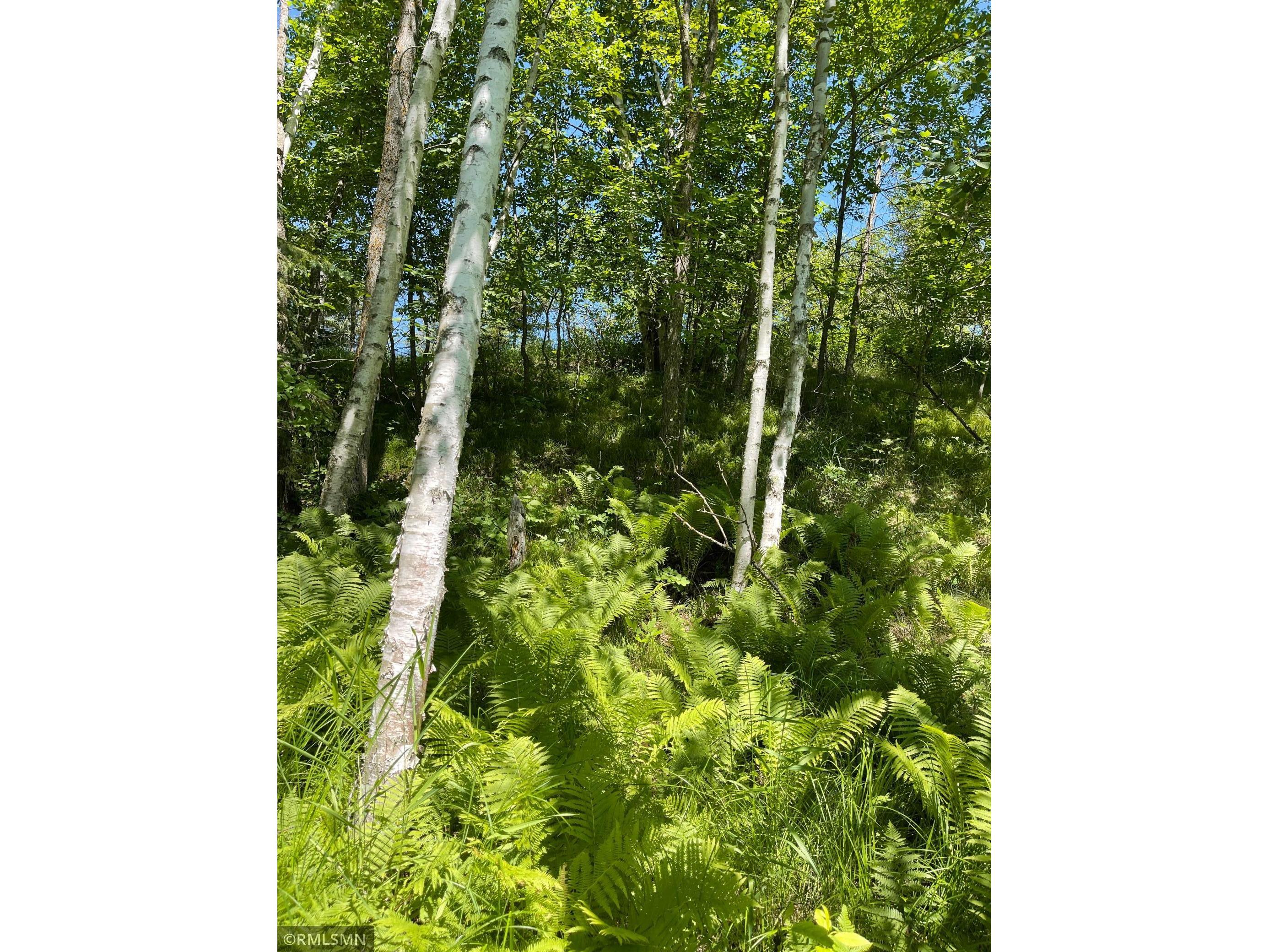 TBD 70th Street NE Remer MN 56672 6022030 image3