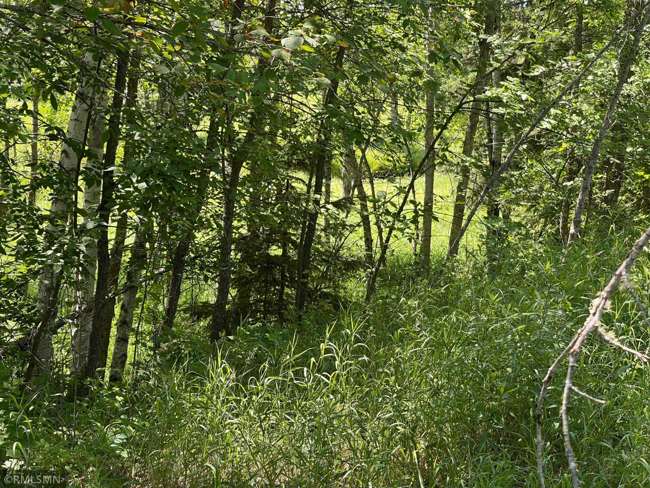 TBD 70th Street NE Remer MN 56672 6022030 image4