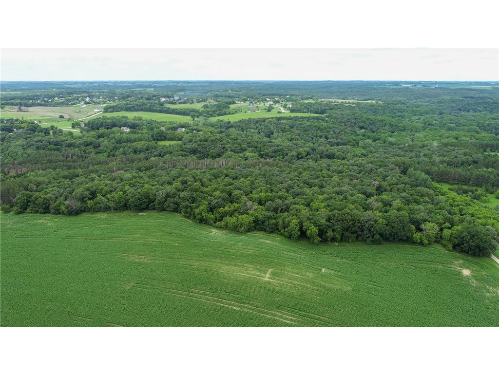 TBD 75th Street NW Oronoco Twp MN 55901 6563250 image11