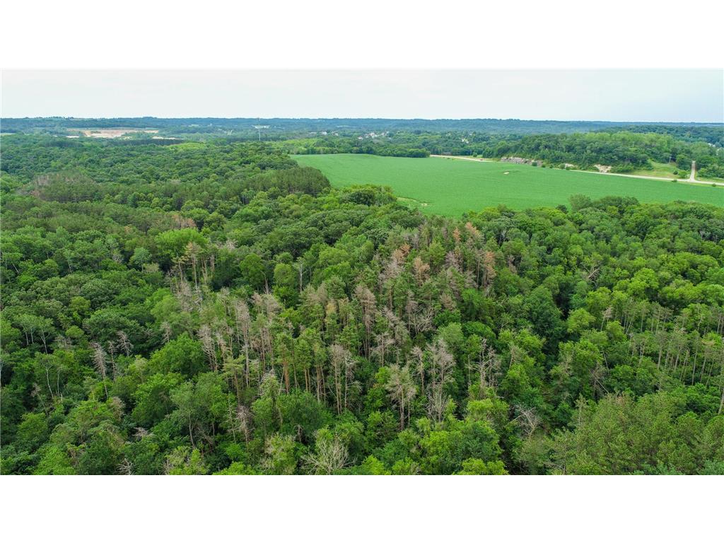 TBD 75th Street NW Oronoco Twp MN 55901 6563250 image13