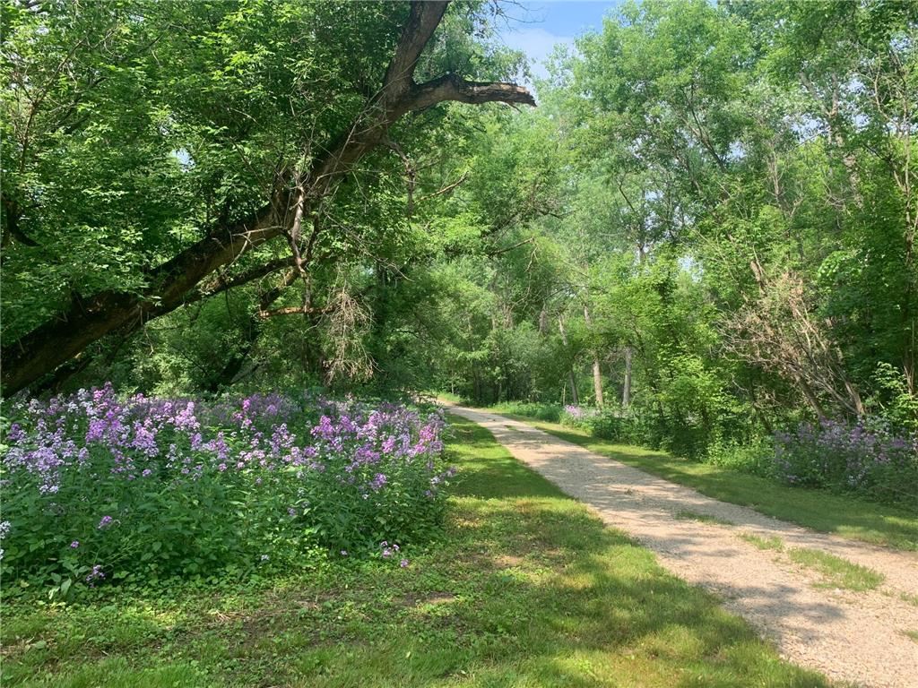 TBD 75th Street NW Oronoco Twp MN 55901 6563250 image17