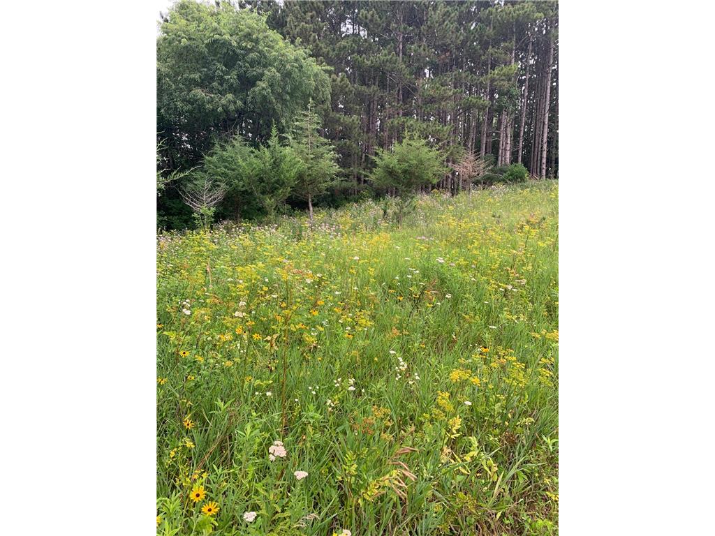 TBD 75th Street NW Oronoco Twp MN 55901 6563250 image19