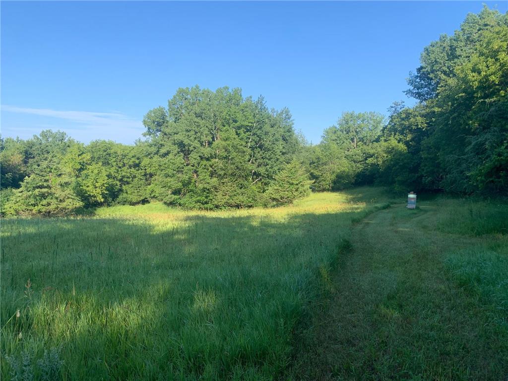 TBD 75th Street NW Oronoco Twp MN 55901 6563250 image20