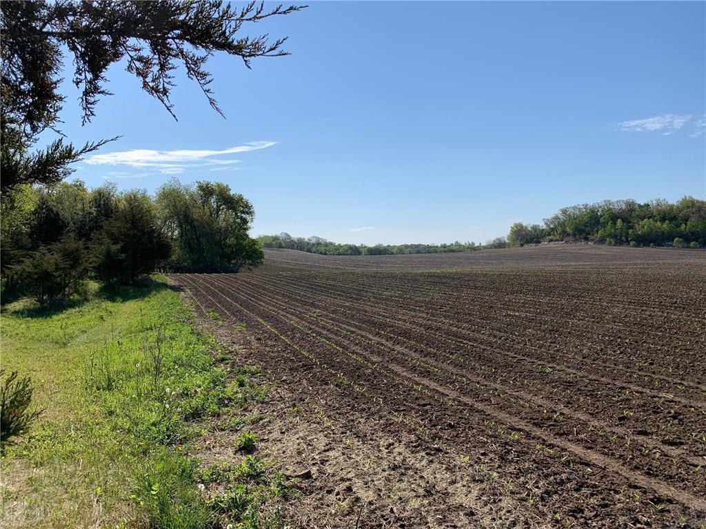 TBD 75th Street NW Oronoco Twp MN 55901 6563250 image23