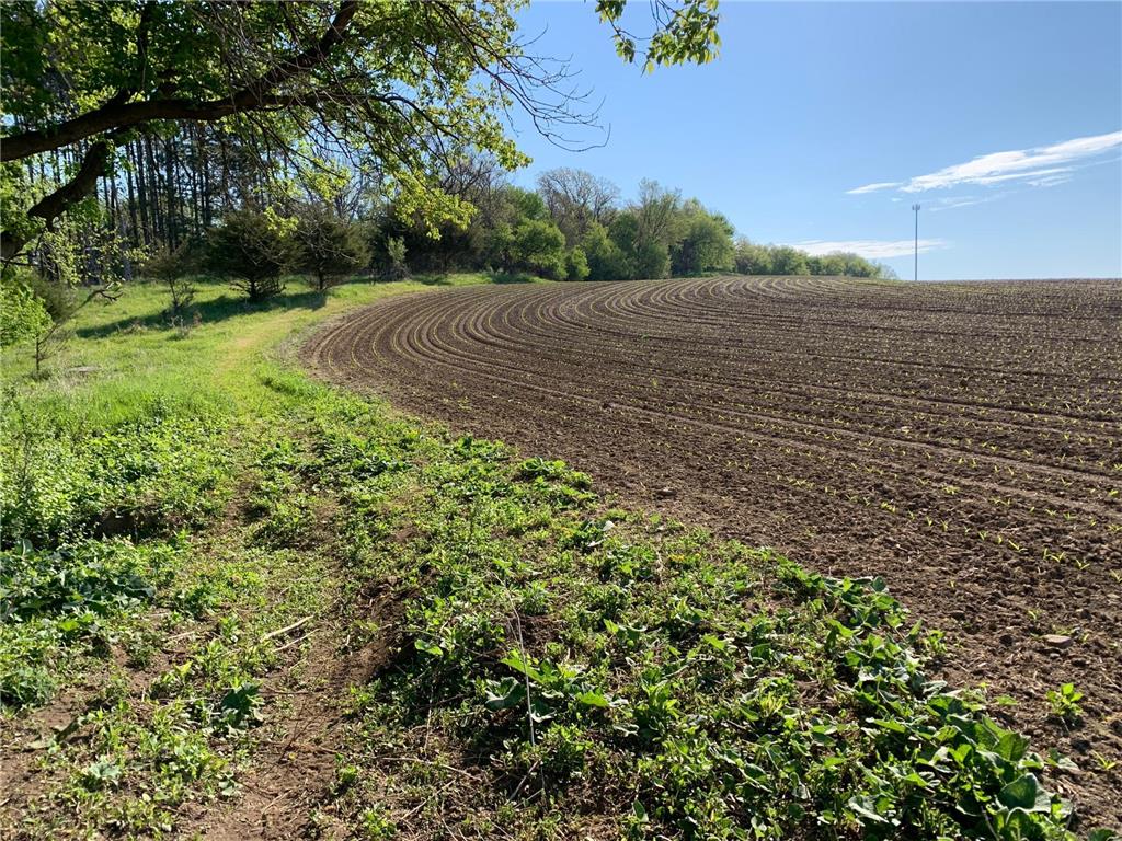 TBD 75th Street NW Oronoco Twp MN 55901 6563250 image24