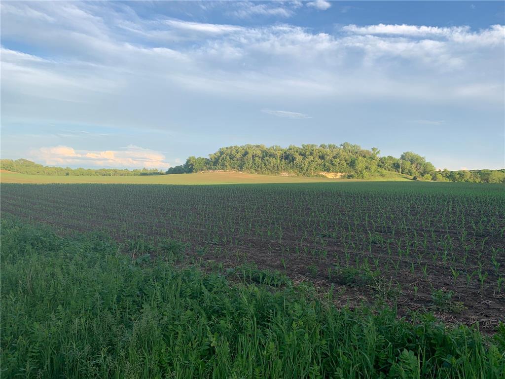 TBD 75th Street NW Oronoco Twp MN 55901 6563250 image25