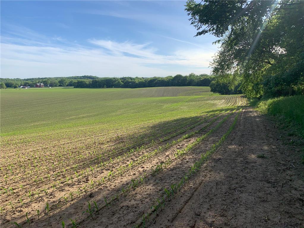 TBD 75th Street NW Oronoco Twp MN 55901 6563250 image26