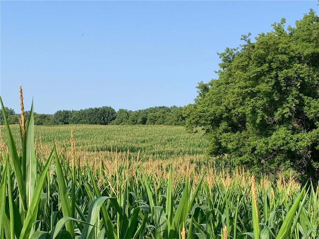 TBD 75th Street NW Oronoco Twp MN 55901 6563250 image27