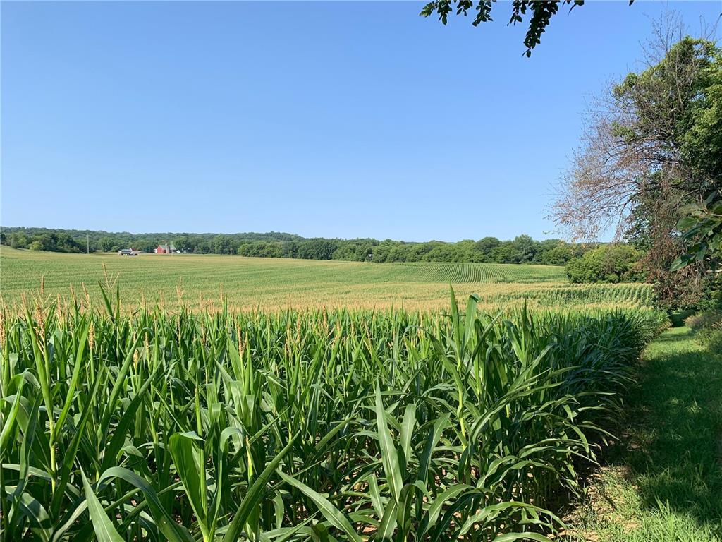 TBD 75th Street NW Oronoco Twp MN 55901 6563250 image28