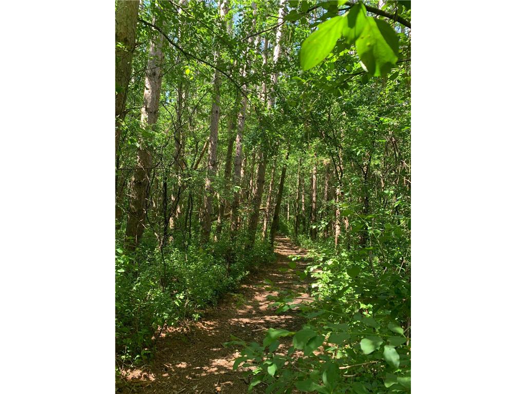 TBD 75th Street NW Oronoco Twp MN 55901 6563250 image29