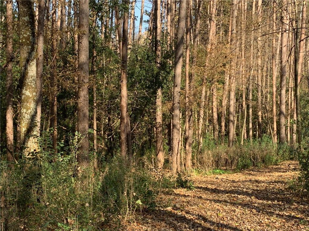 TBD 75th Street NW Oronoco Twp MN 55901 6563250 image30