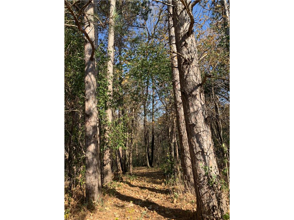 TBD 75th Street NW Oronoco Twp MN 55901 6563250 image31