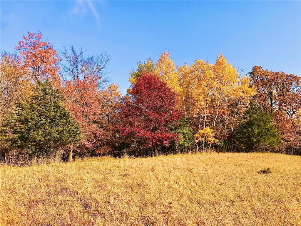 TBD 75th Street NW Oronoco Twp MN 55901 6563250 image33