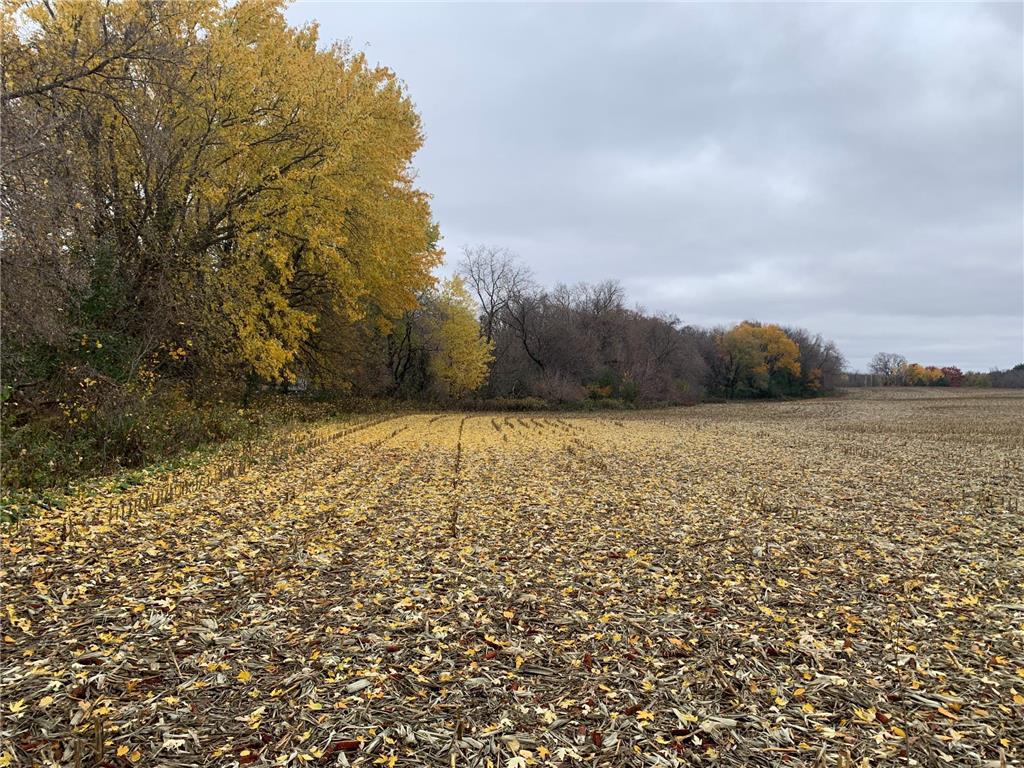 TBD 75th Street NW Oronoco Twp MN 55901 6563250 image34